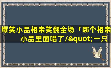 爆笑小品相亲笑翻全场「哪个相亲小品里面唱了\